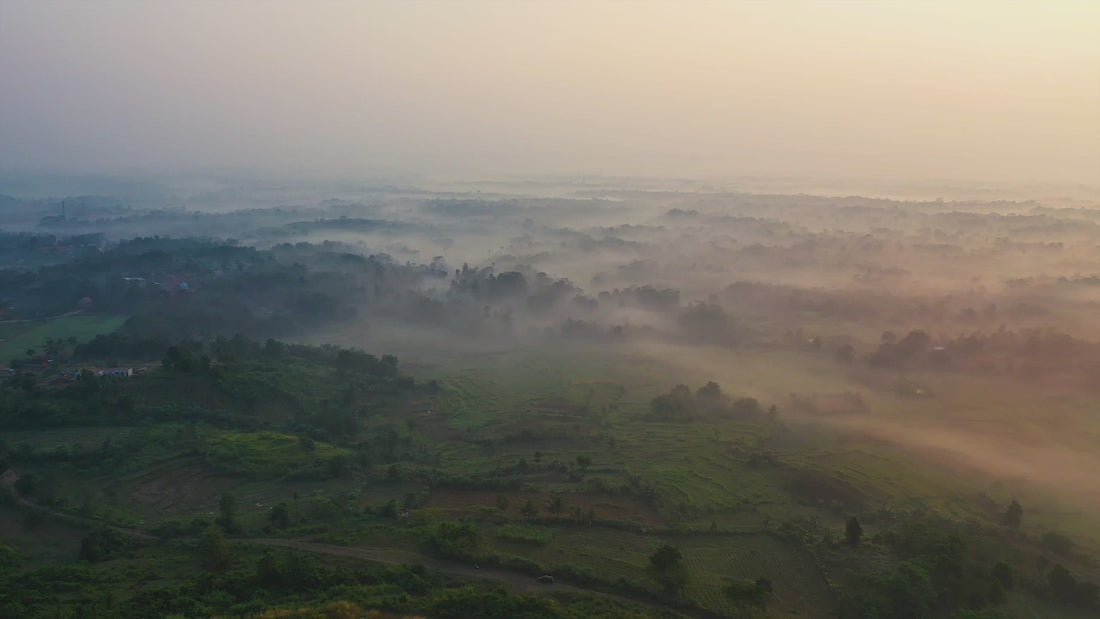 Welcome to Tree-Nation.mp4__PID:26ac3e6a-8086-49eb-87e8-6bf0c904f53f